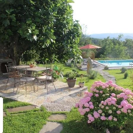 בוזט Villa Mavrici, Neighbors Free מראה חיצוני תמונה